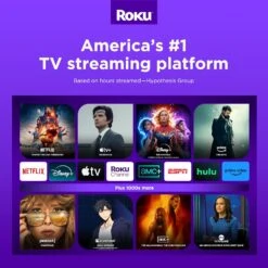 Roku Roku 3960R Express HD Streaming Device With Standard Remote, Black -Digitopia Deals Store 42de9f2e63b049b9be916916c97916c6
