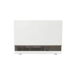 Rinnai America Rinnai America EX38DTN 38,400-BTU Indoor Electric Start Natural Gas Heater In Beige