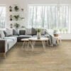 Select Surfaces Select Surfaces SCLMF04106 Savannah AC5 Laminate Flooring